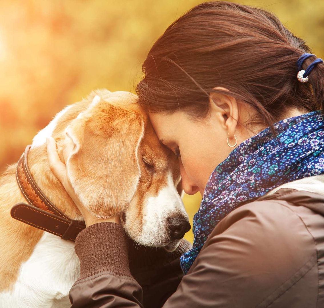 Hund und Hundebesitzerin