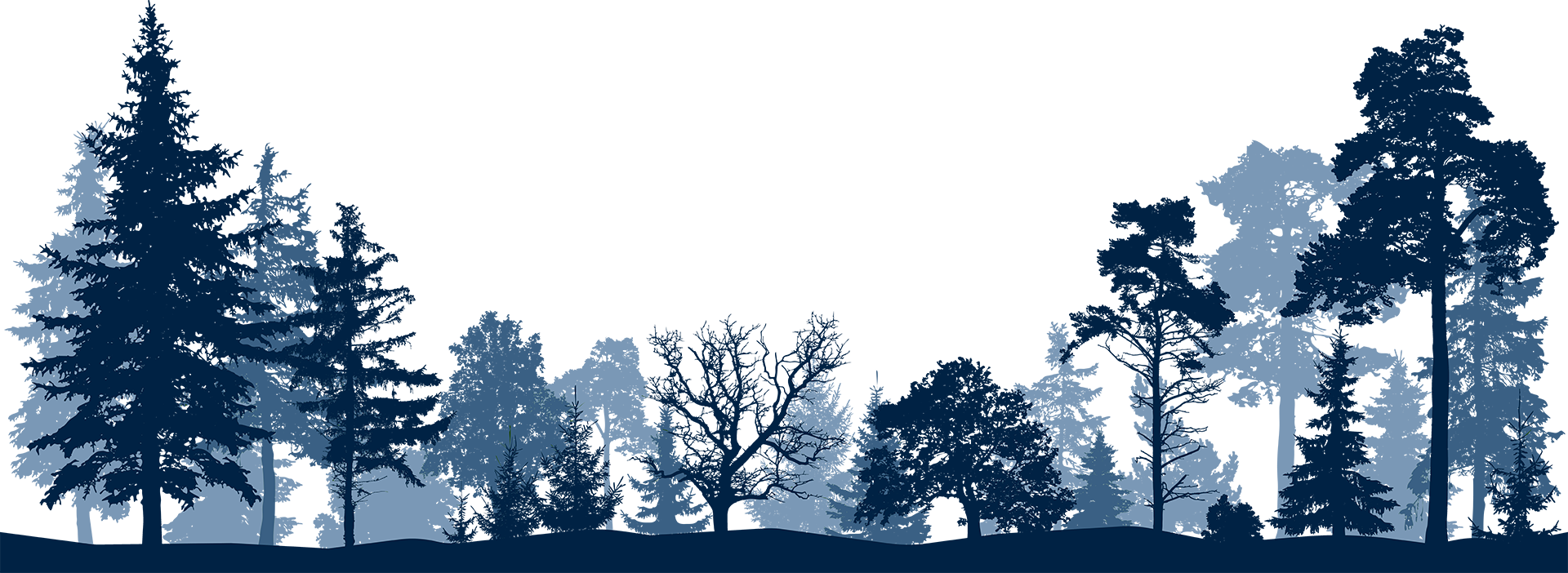 Grafik eines Waldes